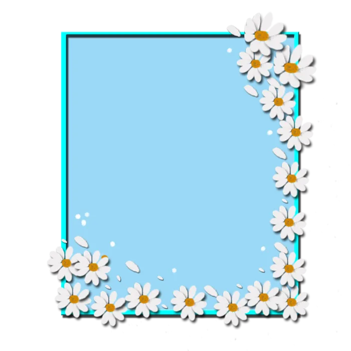 卡通白花边框