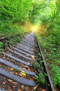 植物和破旧的铁路