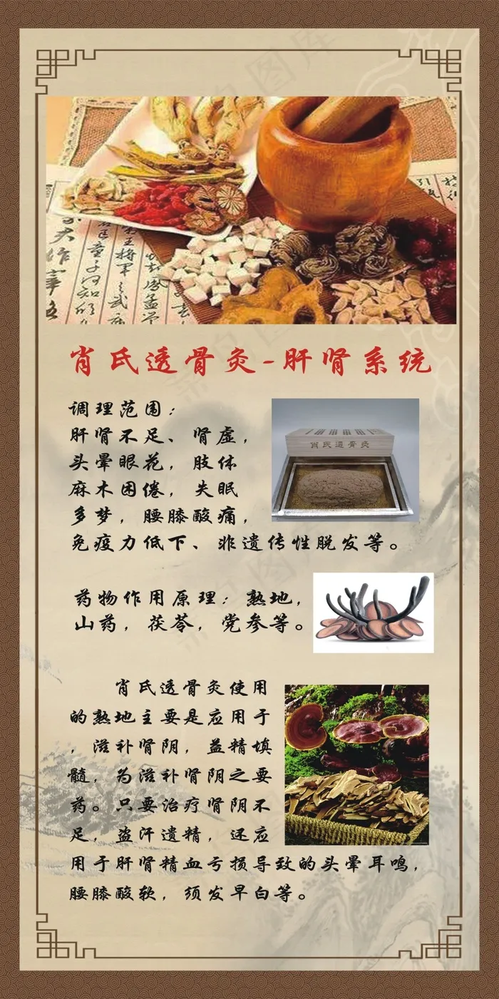艾美森肝肾psd模版下载