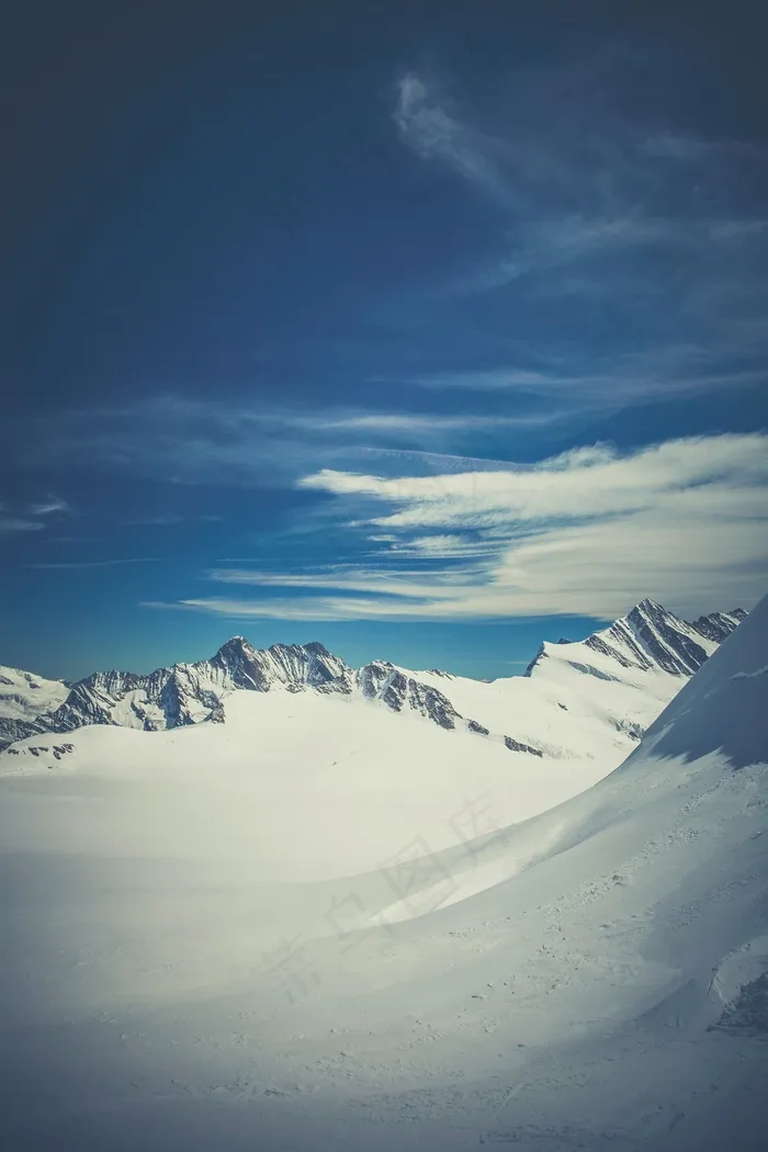 冬季雪景图