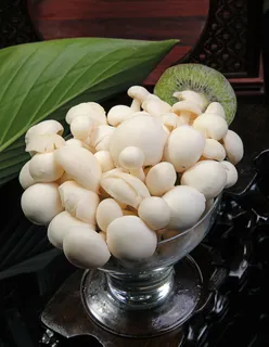 蘑菇香菇金针菇杂菇菌类美食素菜