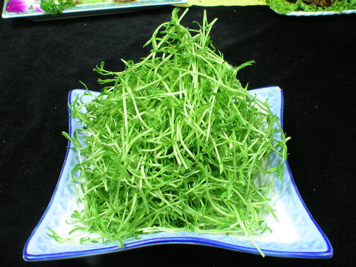 0866一品野菜.JPG