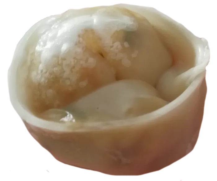轻食饺子素肉饺蔬菜饺元宝饺辣白菜韩式泡菜免抠摄影元素素材psd模版下载