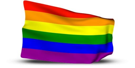 LGBT旗帜 PNG免抠(590x300)