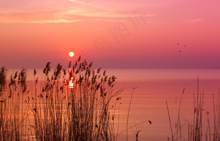 大海夕阳唯美图片