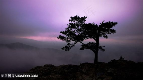 大树山脉美景壁纸