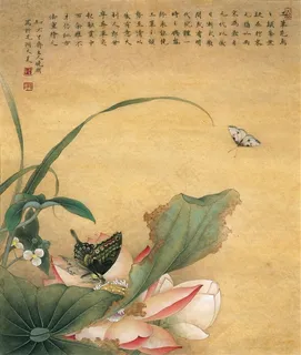 荷花双蝶古画 荷花双蝶古画