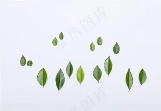 创意树叶造型