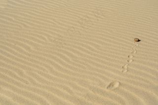 沙漠纹理背景图片