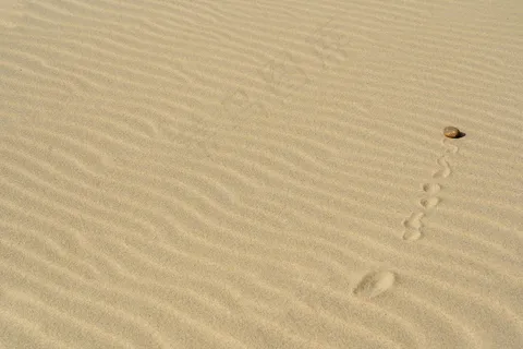 沙漠纹理背景图片 沙漠纹理背景图片
