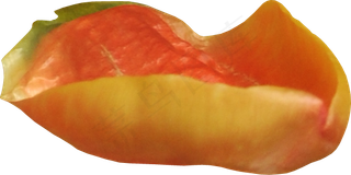 花瓣花朵免扣图片 