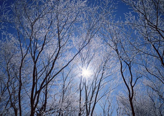 冰天雪地 238