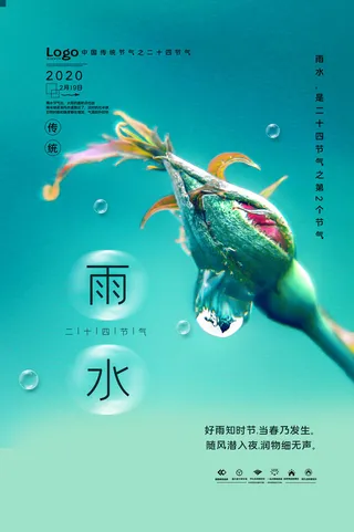二十四节气雨水雨水雨水海报