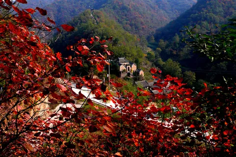 枫叶风景素材图片下载 枫叶风景素材图片下载