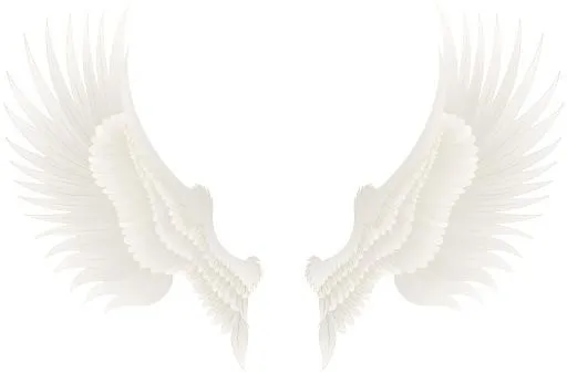 翅膀 PNG免抠(8000x5267)