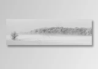 冬季森林雪景图