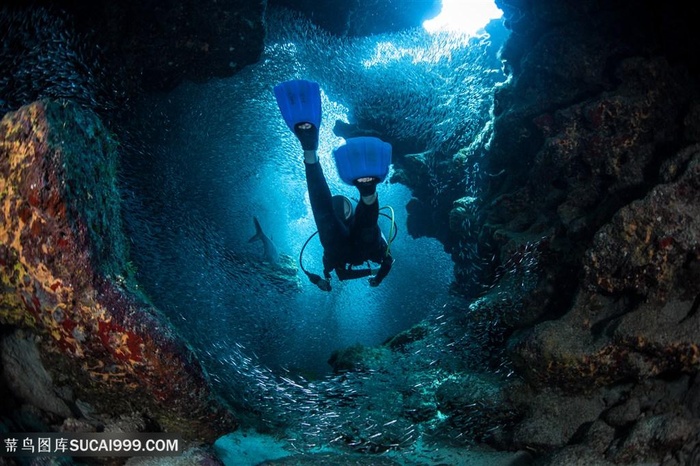 在海底潜水的人物高清图片