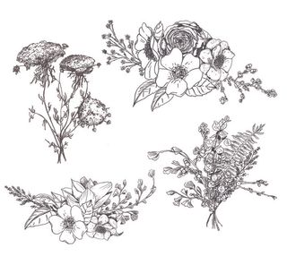 手绘矢量花卉小清新插画素材花艺边框婚礼logo婚礼请柬素材婚礼请柬素材