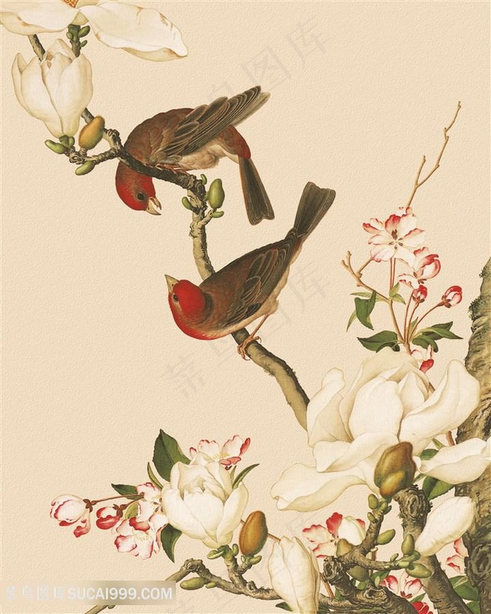 郎世宁 兰花花鸟装饰画