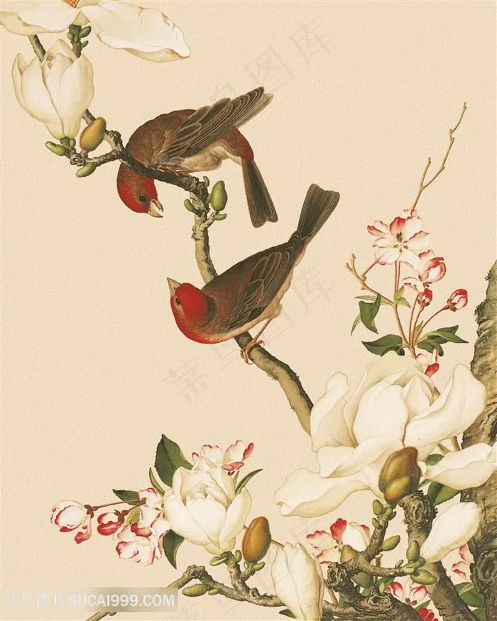 郎世宁 兰花花鸟装饰画