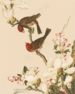 郎世宁 兰花花鸟装饰画