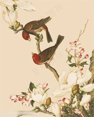 郎世宁 兰花花鸟装饰画