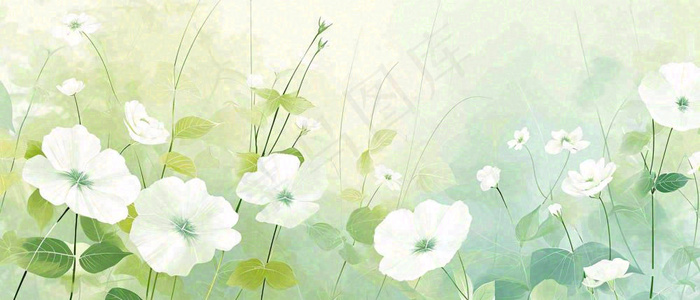清新白色小花野花野草春天萌芽手绘，春分(1680x720)