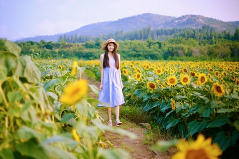 夏天日 夏天吊旗 夏天设计 夏天展 迎夏天