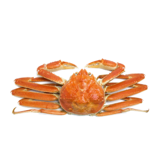 螃蟹(43)海鲜超市商品红酒白底图免抠实物摄影png格式图片透明底