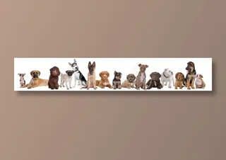 宠物狗图片素材