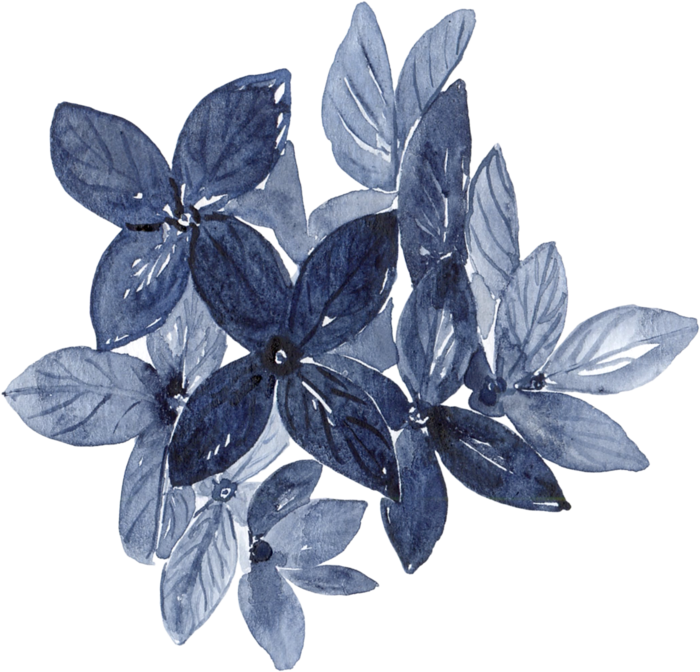 海军蓝金线水彩花卉素材