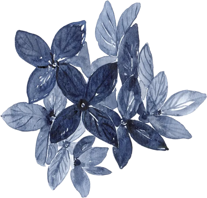 海军蓝金线水彩花卉素材