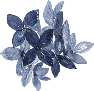 海军蓝金线水彩花卉素材