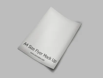 产品画册提案效果样机模板