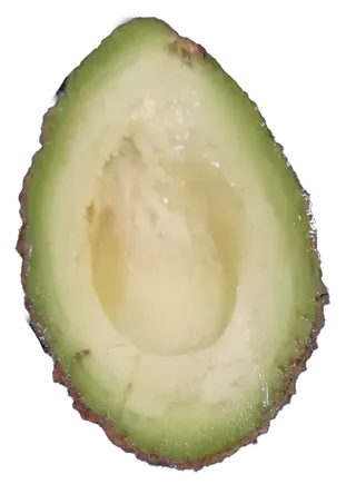 鳄梨牛油果切开免抠实物实拍摄影元素素材