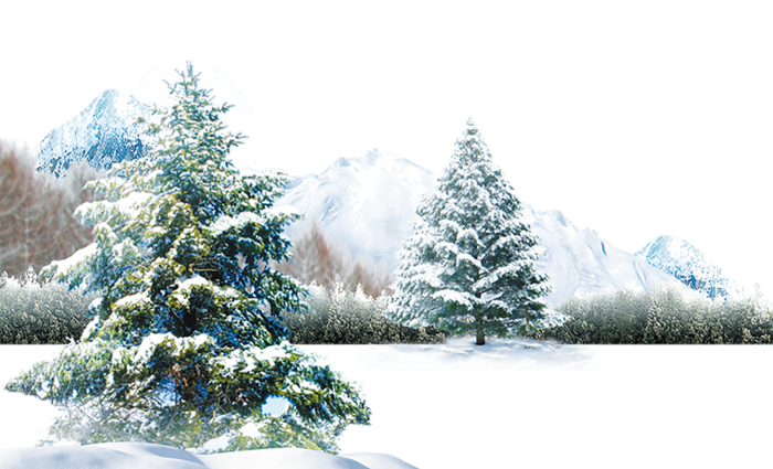 松树卡通雪景