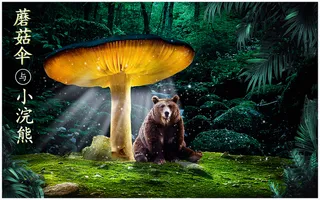 蘑菇伞与灰熊
