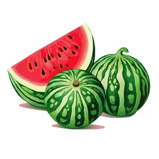 西瓜免抠