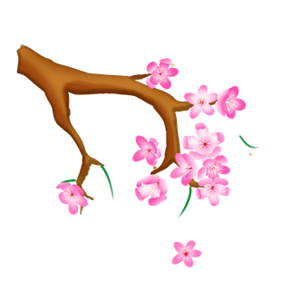 春天浪漫粉红色樱花手绘樱花梅花桃花花朵图片PNG免扣素材