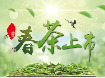 广告产品春茶上市茶叶素材 广告产品春茶上市茶叶素材