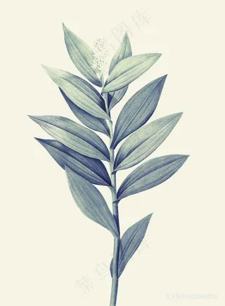 秋亦晚树叶素描装饰画