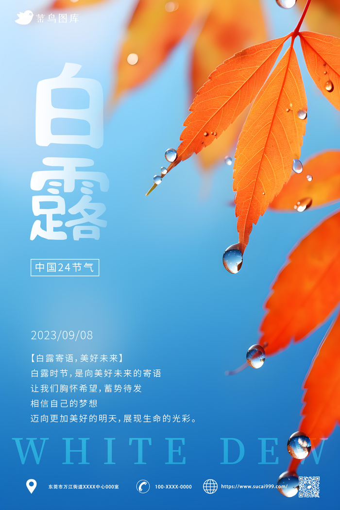 树叶 露珠 唯美 中国传统二十四节气 白露 海报ai矢量模版下载