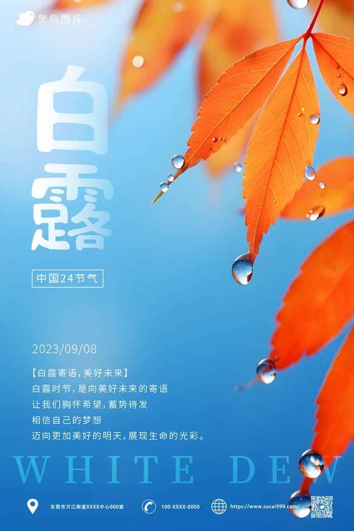 树叶 露珠 唯美 中国传统二十四节气 白露 海报ai矢量模版下载