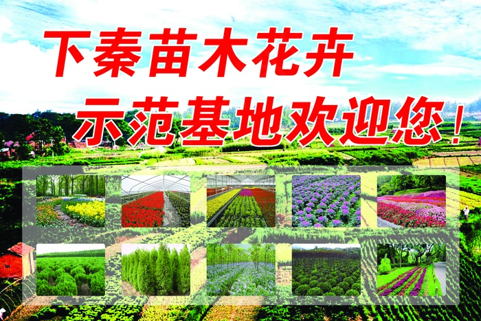 兆龙花木苗圃psd模版下载