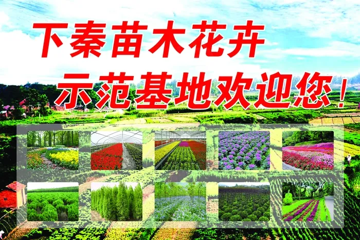 兆龙花木苗圃psd模版下载