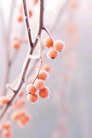 清爽冰霜果实橙色背景