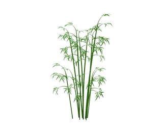 竹子水墨画中国风国画墨水书法竹子画
