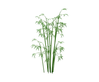 竹子水墨画中国风国画墨水书法竹子画