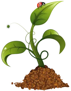 现代农业卡通树苗