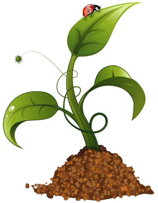 现代农业卡通树苗